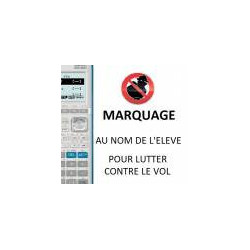 Marquage laser NOM + PRENOM