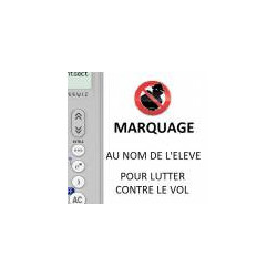 Marquage laser NOM + PRENOM