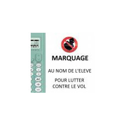 Marquage laser NOM + PRENOM